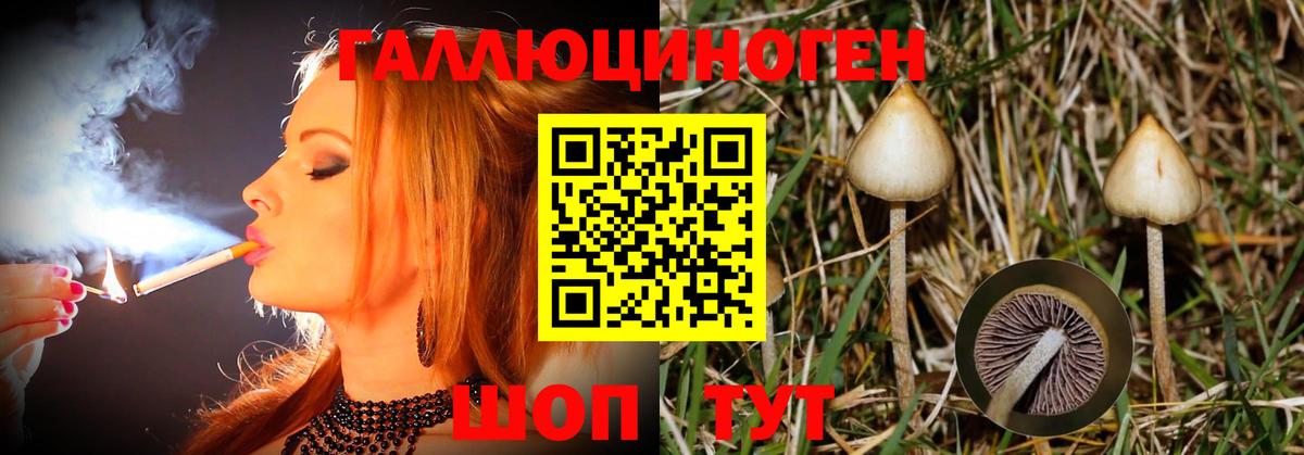 Псилоцибиновые грибы Magic Shrooms Лесозаводск