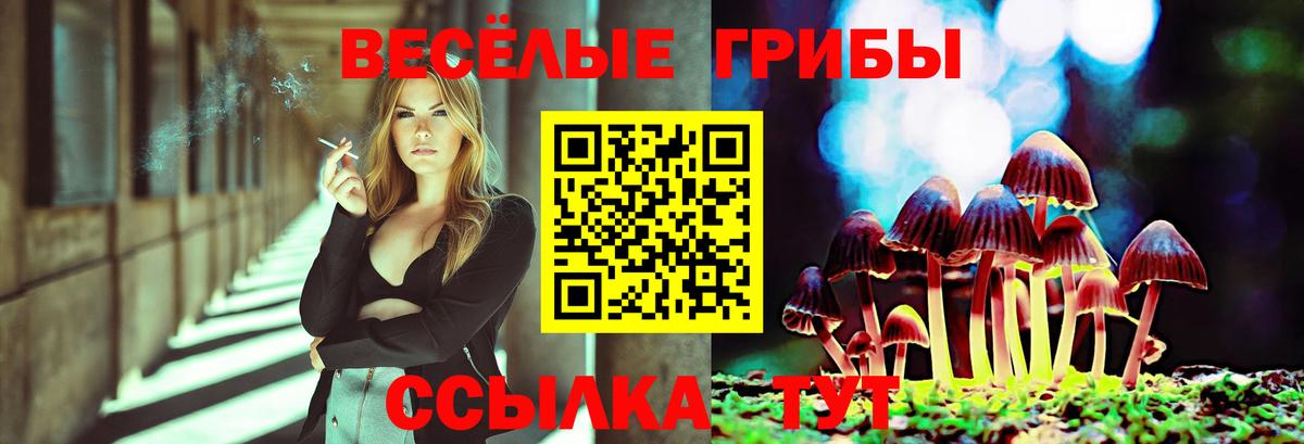 купить закладку  Вход с VPN  Лесозаводск  Псилоцибиновые грибы Magic Shrooms 
